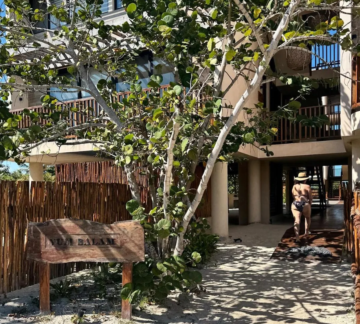 Boho Loft Steps From The Beach Isla Holbox Apartment